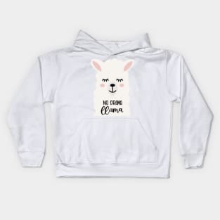 Drama Llama Kids Hoodie